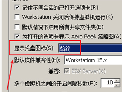 VMware Workstation怎么设置托盘图标？VMware Workstation设置托