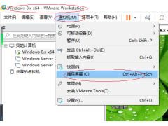 VMware Workstation怎么捕获屏幕？VMware Workstation进行截屏教