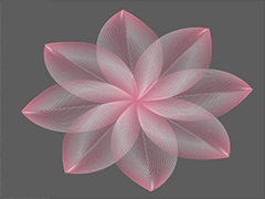 ai怎么设计漂亮的粉色花朵? Illustrator绘制线条花瓣效果的教程