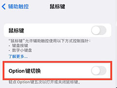 iphone如何启用Option键切换功能? 苹果14 Option键开启鼠标键技