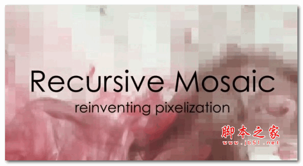 Reversible Mosaic(可逆打码软件) V1.0.0.0 官方中/英文版