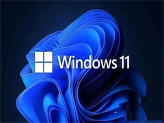 Win11 business与consumer的区别?Win11 consumer和business哪个