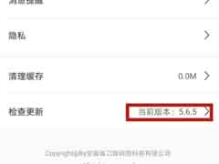 租号玩怎么查看版本号？租号玩查看版本号方法