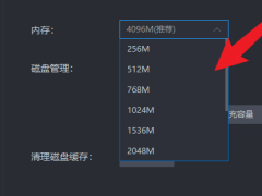 雷电模拟器如何设置内存参数？雷电模拟器设置内存参数方法