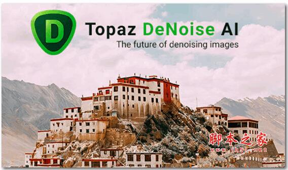 图像降噪工具 Topaz DeNoise AI 汉化补丁 中文破解版(附教程)