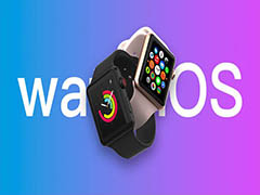 苹果 watchOS 9.3 正式版发布 团结马赛克表盘上限