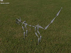 blender怎么做动物骨骼? blender快速创建一幅动物骨架模型的技巧