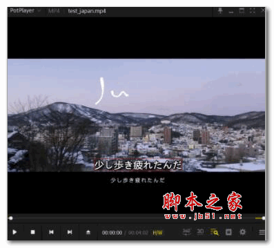 Video Subtitle Extractor(视频硬字幕提取工具) V1.0 免费安装版