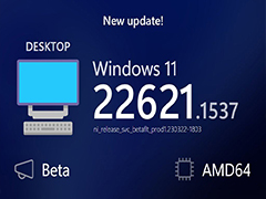 微软Win11 Build 2262x.1537预览版发布(附KB5022910更新内容汇总