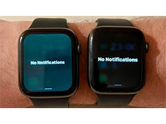 部分苹果 Apple Watch手表升级 watchOS 9.5 后出现绿屏