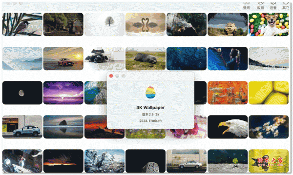 4K Wallpaper for Mac(4K精美壁纸软件) v2.6 苹果激活版