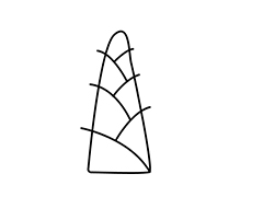 AI怎么画简笔画竹笋? ai快速手绘山竹笋形状图案的技巧