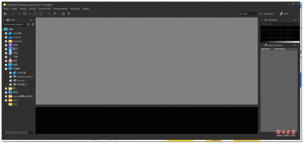 RAW数码照片处理SILKYPIX Developer Studio v11.0.11.0 绿色便携免费版