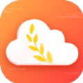 麦穗天气(天气预报查询软件)v1.0安卓版