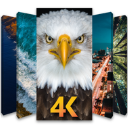 手机4K壁纸(高清手机桌面壁纸)app v1.0.6 安卓版