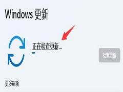 win11外接显示器分辨率调不了怎么办 win11外接显示器分辨率无法