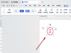 WPS文档如何插入数字序号图标 WPS文档插入数字序号图标的方法