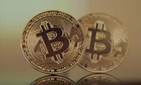 Whales Market是什么？场外交易平台Whales Market介绍