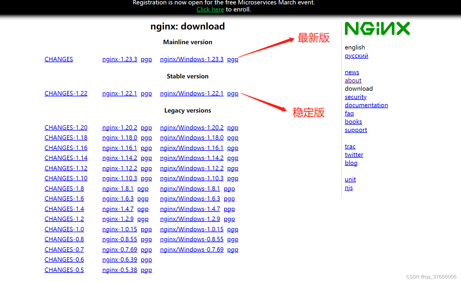 nginx for Windows v1.22.1 高性能稳定版 