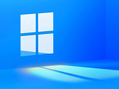 windows11选择哪个版本? Win11家庭版与专业版深度对比