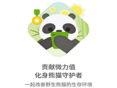 新浪微博极速版怎么养熊猫 微博养熊猫的方法