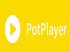 PotPlayer 和 LAVFilters配置满足基本BDRIP回放需求