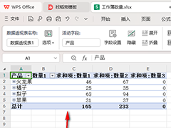 WPS数据透视表如何折叠字段 WPS数据透视表折叠字段的方法