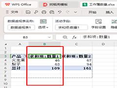 WPS数据透视表如何使用值筛选 WPS数据透视表使用值筛选的方法