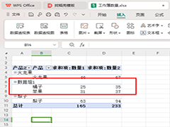 WPS数据透视表如何进行分组 WPS数据透视表进行分组的方法