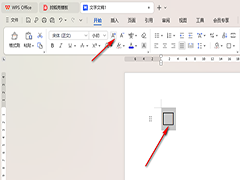WPS文档如何添加空心方框 WPS文档添加空心方框的方法