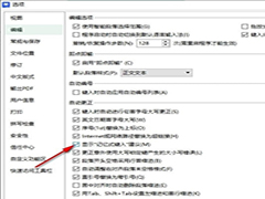 WPS如何显示记忆式键入建议功能 WPS开启显示记忆式键入建议功能