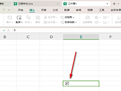 WPS表格如何添加打勾的方框 WPS表格中添加打勾的方框的方法