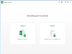 Passper for Excel怎么使用?Passper for Excel使用教程与常见问