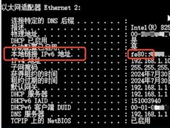 在电脑上如何看是否获取了IPv6的地址? 开启让设备获取到IPv6的教