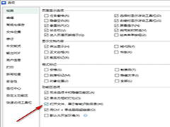 WPS如何开启智能识别目录功能 WPS开启智能识别目录功能的方法