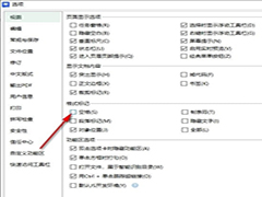 WPS如何隐藏文档中的空格标记 WPS隐藏文档中的空格标记的方法