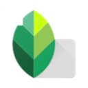 Snapseed(移动图像处理软件) v2.22.0.633363672 安卓版