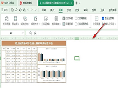 WPS表格文档如何取消灰色区域 WPS表格文档中取消灰色区域的方法