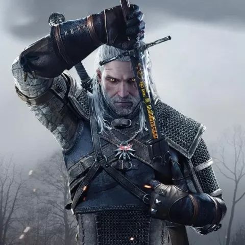 巫师3：次世代版手游(RPG动作冒险手游) the witcher 3 : Wild Hu