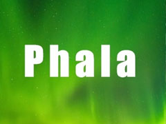 Phala 为何突然受到市场追捧