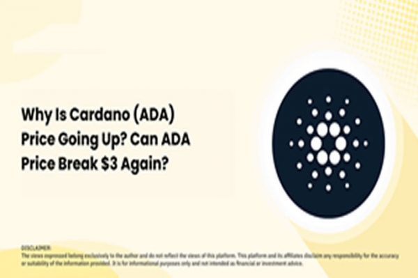 为什么Cardano （ADA） 价格上涨？ ADA 价格可以再次突破3 美元吗？