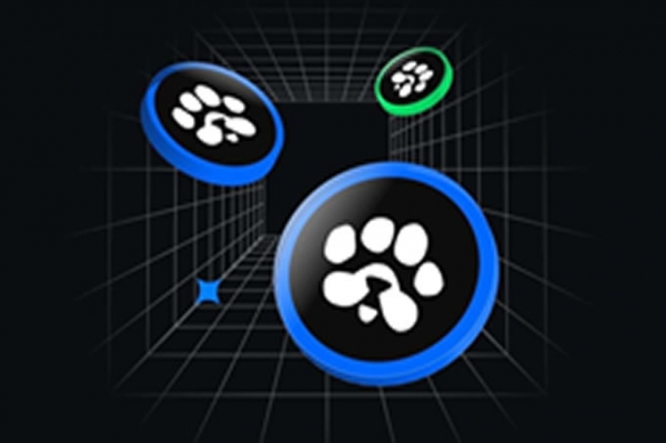 Paws 上市前价格、Solana 发布详情以及 CEX 上市