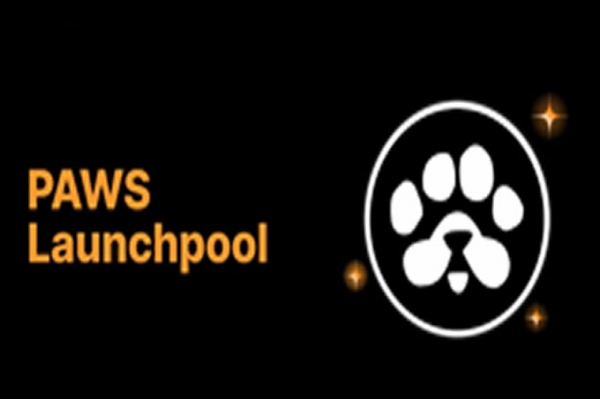 Bybit 矿池上的 PAWS ，如何通过挖矿赚钱？
