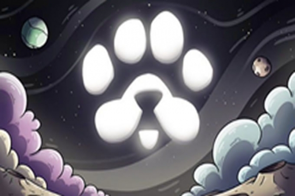 与 PAWS 合作的交易所：最佳 6 大平台一览
