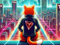SUNCAT币上线交易所有哪些？SUNCAT币怎么买？