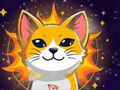 SUNCAT币会涨到128美金吗？SUNCAT币未来价格预测