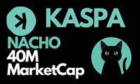 Nacho the Kat(NACHO)币是什么？NACHO币值得投资吗？