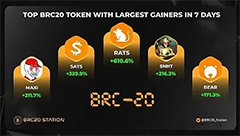 揭秘潜力币种RATS：未来前景与潜力