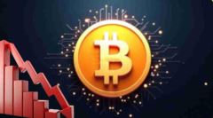 支持加密货币的国家有几个？支持加密货币的国家盘点