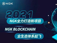NGK币发行价多少？NGK币发行价和发行量介绍